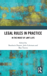  Legal Rules in Practice