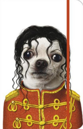 Notes s gumičkou Michael Jackson