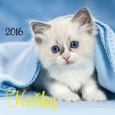 Kočky 2016 - nástěnný kalendář
