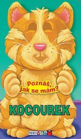 Kocourek - Poznáš, jak se mám?