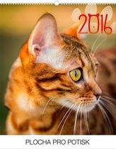 Kočky Praktik - nástěnný kalendář 2016