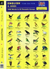 English - Find the Pair 06. (Birds)