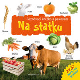 Na statku – poznávací knížka s pexesem