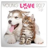Kalendář poznámkový 2017 - Young Love/koťata & štěňata