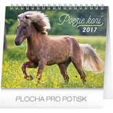 Kalendář stolní 2017 - Poezie koní/Christiane Slawik