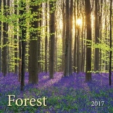 Forest - Les 2017 - nástěnný kalendář
