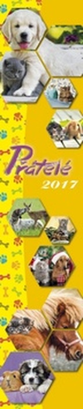 Přátelé 2017 - nástěnný kalendář