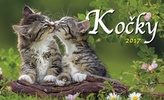 Kočky 2017 - stolní kalendář