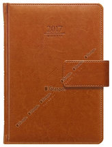 Diář 2017 - Kastor s poutkem denní A5
