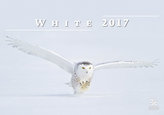 Kalendář nástěnný 2017 - White/Exclusive