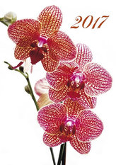 Kalendář nástěnný 2017 - Orchideje