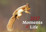 Kalendář nástěnný 2017 - Moments of Life