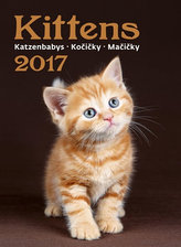 Kalendář nástěnný 2017 - Kočičky