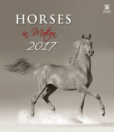 Kalendář nástěnný 2017 - Horses in Motion/Exclusive