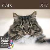 Kalendář nástěnný 2017 - Cats 300x300cm