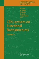 CFN Lectures on Functional Nanostructures 1