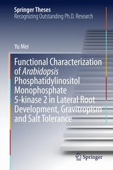 Functional Characterization of Arabidopsis Phosphatidylinositol Monophosphate 5-kinase 2 in Lateral Root Development, Gravitropi