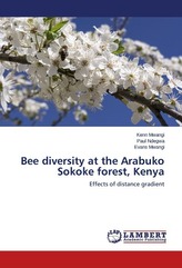 Bee diversity at the Arabuko Sokoke forest, Kenya