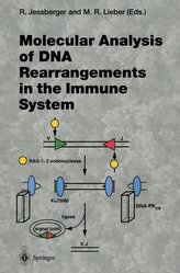 Molecular Analysis of DNA Rearrangements in the Immune System