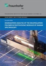 Degradation Analysis of the Encapsulation Polymer in Photovoltaic Modules by Raman Spectroscopy.