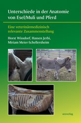 Unterschiede in der Anatomie von Esel/Muli und Pferd
