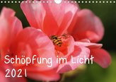 Schöpfung im Licht (Wandkalender 2021 DIN A4 quer)