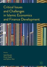 Critical Issues and Challenges in Islamic Economics and Finance Development