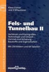 Fels- und Tunnelbau 2