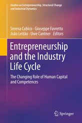 Entrepreneurship and the Industry Life Cycle