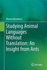 Studying animal languages without translation: an insight from ants
