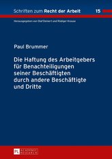 Die Haftung des Arbeitgebers für Benachteiligungen seiner Beschäftigten durch andere Beschäftigte und Dritte