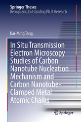 In Situ Transmission Electron Microscopy Studies of Carbon Nanotube Nucleation Mechanism and Carbon Nanotube-Clamped Metal Atomi