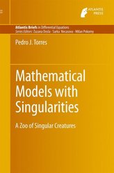 Mathematical models with singularities