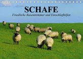 Schafe. Friedliche Rasentrimmer und Einschlafhilfen (Tischkalender 2021 DIN A5 quer)