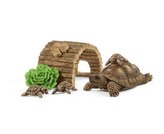 Dům pro želvy