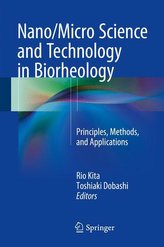 Nano/Micro Science and Technology in Biorheology