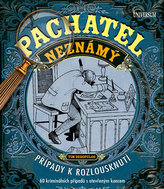 Pachatel neznámý