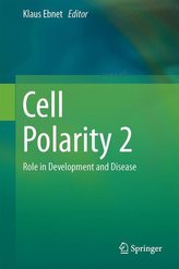 Cell Polarity 2