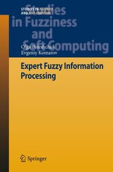 Expert Fuzzy Information Processing