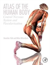 Atlas of the Human Body