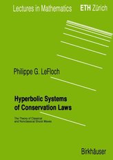 Hyperbolic Systems of Conservation Laws