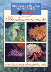 Středozemní moře - Ryby a živočichové