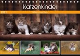 Katzenkinder - Britisch Kurzhaar (Tischkalender 2021 DIN A5 quer)
