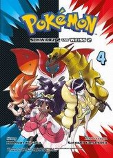 Pokémon Schwarz 2 und Weiss 2