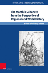 The Mamluk Sultanate from the Perspective of Regional and World History