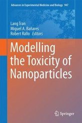 Modelling the Toxicity of Nanoparticles