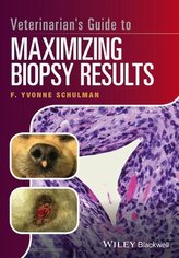 Veterinarian\'s Guide to Maximizing Biopsy Results