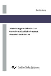 Absenkung der Mindestlast eines braunkohlebefeuerten Bestandskraftwerks