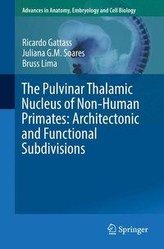 The Pulvinar Thalamic Nucleus of Non-Human Primates: Architectonic and Functional Subdivisions