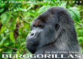 Berggorillas: die bedrohten Riesen (Tischkalender 2021 DIN A5 quer)